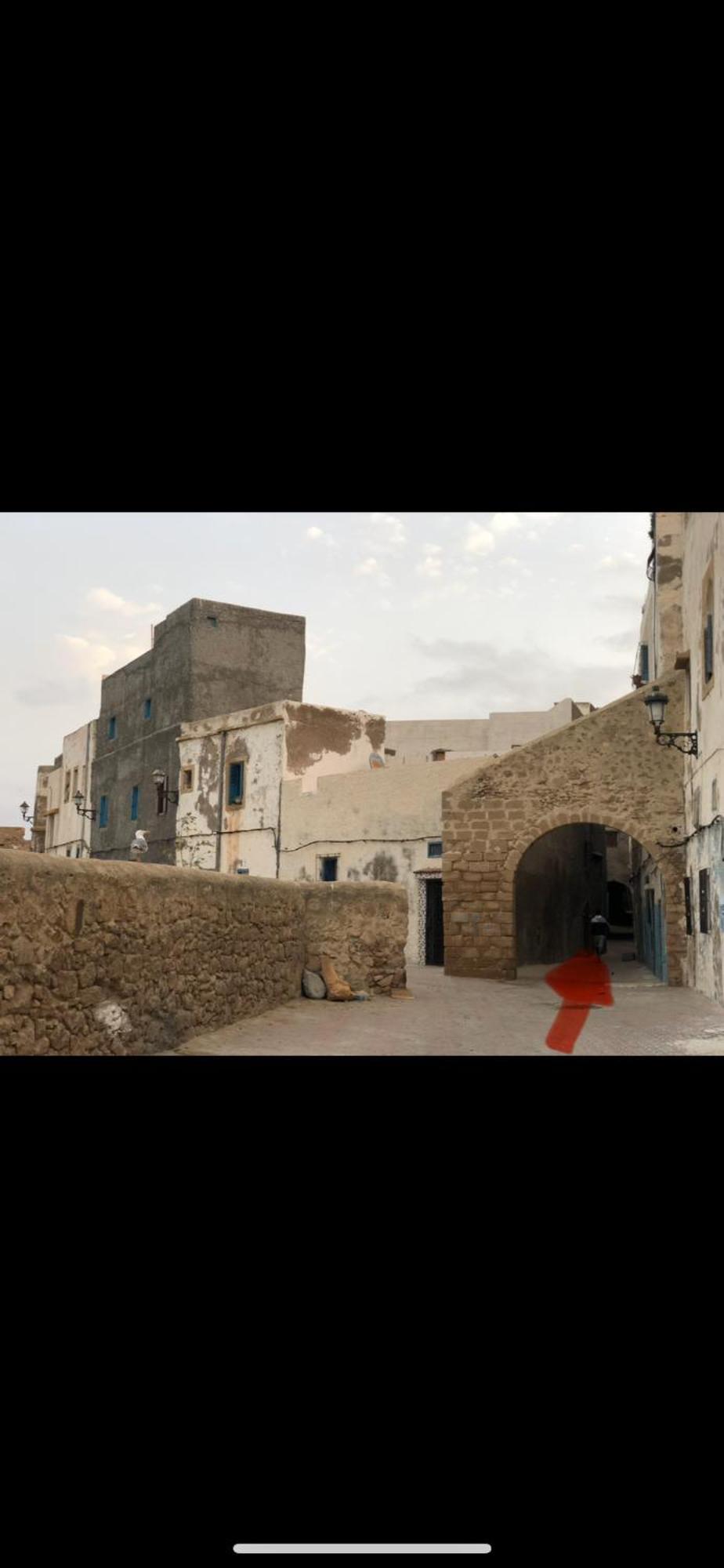 Dar Dada La Totalite Du Riad A Votre Disposition Et De Facon Exclusive 사피 외부 사진